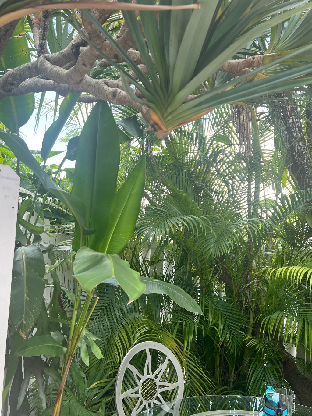 Another Long Drive, Cubanos, Cottage in LGBTQ+&nbsp;Land…